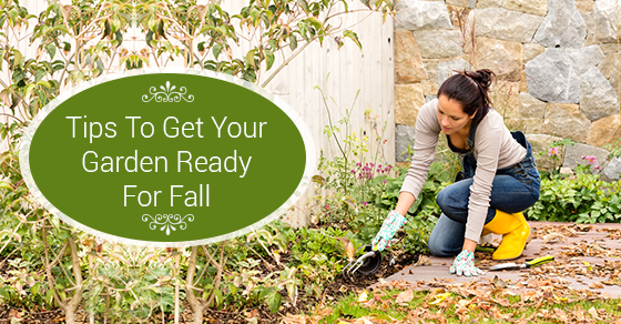 Tips To Get Your Garden Ready For Fall